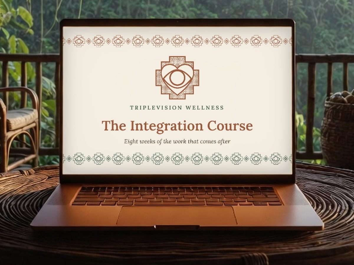 The Integration Course on a laptop, on a veranda overlooking the jungle
