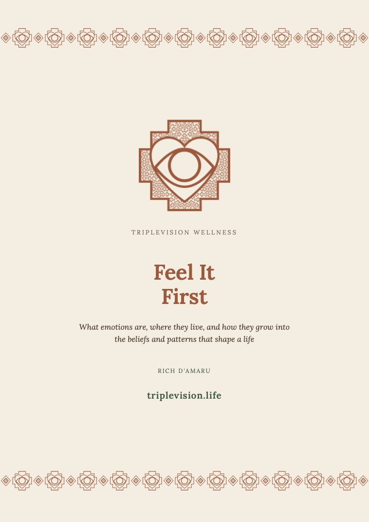 The cover of Feel It First by Rich D'Amaru